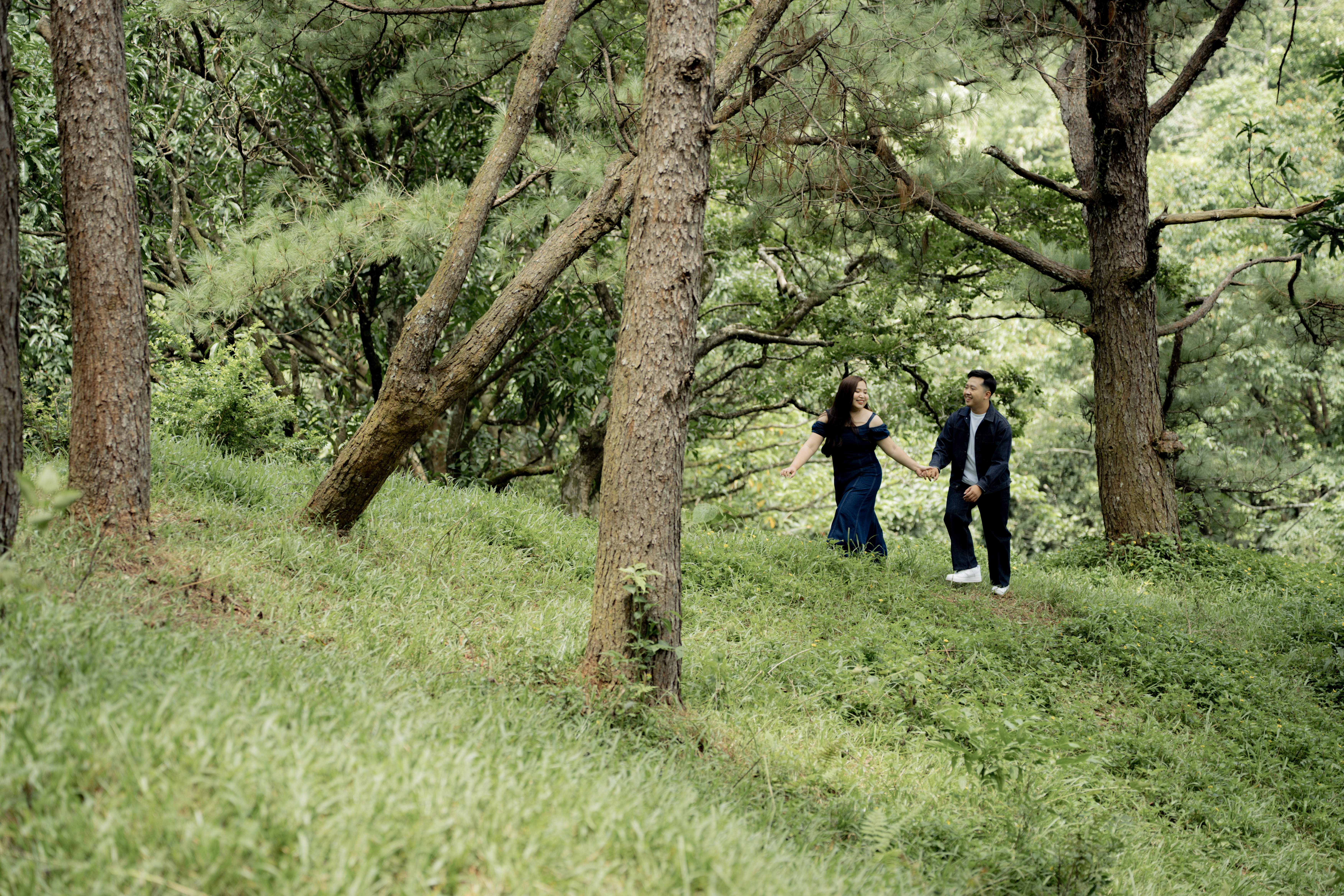 Gallery photo 6
