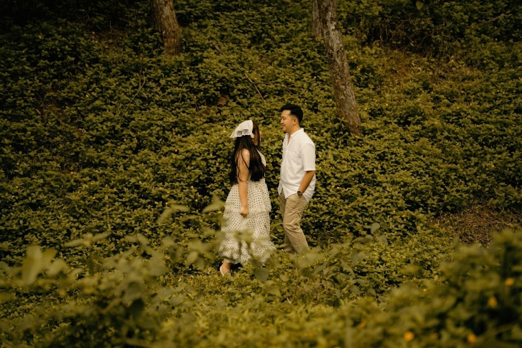 Gallery photo 7