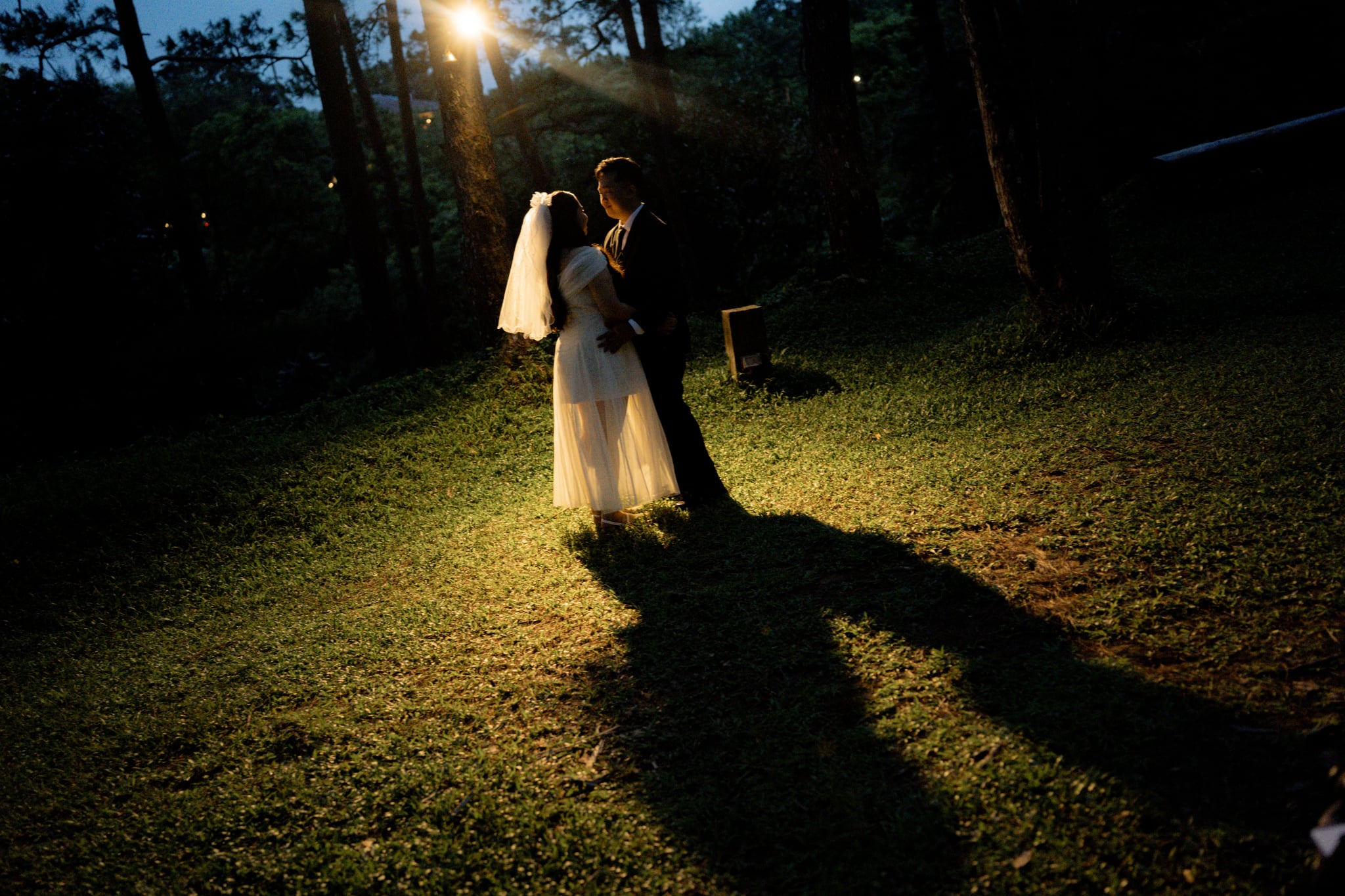 Gallery photo 8